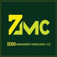 Zeido Management Consultants LLC