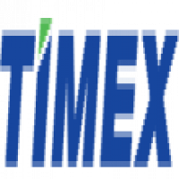 Timex Information Technology Consulting