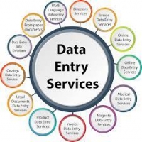 Skyline Data Services 