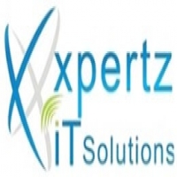 XPERTZ IT SOLUTIONS LLC