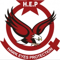 Hawk Eyes Protection 